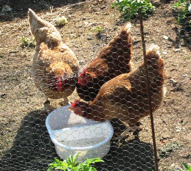 Maison de vacances /en/au Rouffignac St Cernin (Dordogne)ou appartement ou maison de vacances