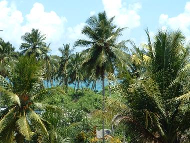 Appartement de vacances /en/au Induruwa (Kalutara)ou appartement ou maison de vacances