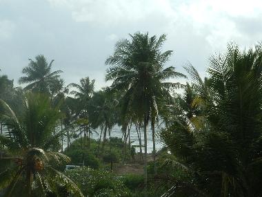 Appartement de vacances /en/au Induruwa (Kalutara)ou appartement ou maison de vacances