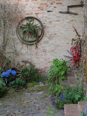 Maison de vacances /en/au Bansow (Mecklenburgische Seenplatte)ou appartement ou maison de vacances