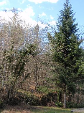 Maison de vacances /en/au faltona (Arezzo)ou appartement ou maison de vacances