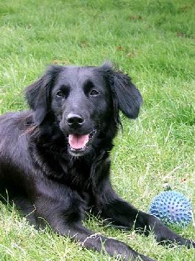 Appartement de vacances /en/au Norden-Neuwesteel (Nordsee-Festland / Ostfriesland)ou appartement ou maison de vacances