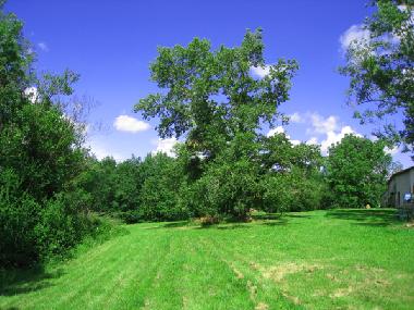 Appartement de vacances �/en/au Pamiers (Ari�ge)ou appartement ou maison de vacances