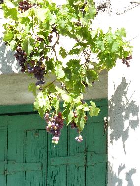 Maison de vacances /en/au Valros (Hrault)ou appartement ou maison de vacances