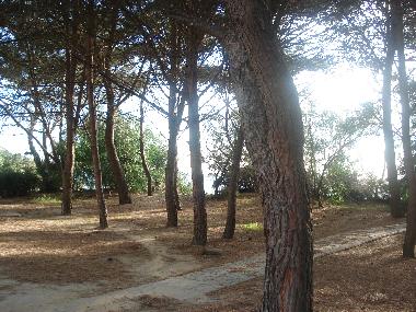 Appartement de vacances �/en/au Praialonga (Crotone)ou appartement ou maison de vacances