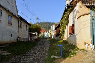 Maison de vacances �/en/au Vale (Sibiu)ou appartement ou maison de vacances