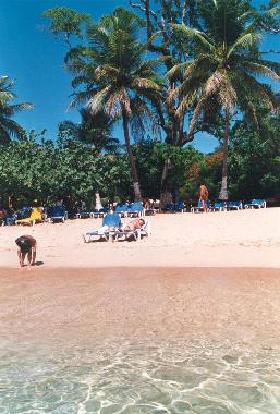 PLAGE DE SOSUA