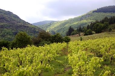 Maison de vacances �/en/au Cassagnoles (H�rault)ou appartement ou maison de vacances