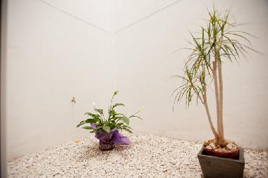 Appartement de vacances �/en/au Sevilla, Centro (Sevilla)ou appartement ou maison de vacances