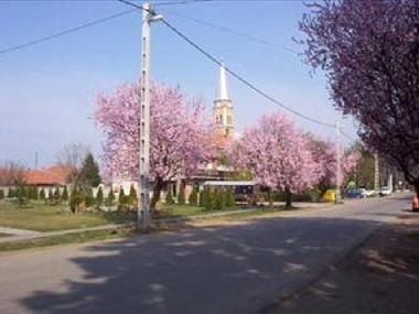 Maison de vacances �/en/au Jaszszentandras (Jasz-Nagykun-Szolnok)ou appartement ou maison de vacances