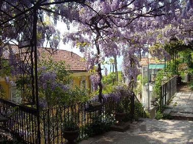 Appartement de vacances �/en/au Varenna (Lecco)ou appartement ou maison de vacances