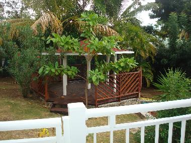 Le Jardin tropical et son carbet � l