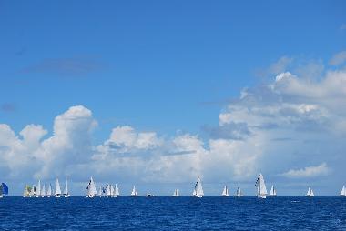 Pendant la Regatta Heineken