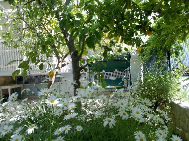 Appartement de vacances /en/au Trani (Bari)ou appartement ou maison de vacances