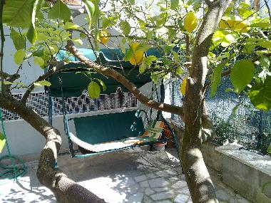 Appartement de vacances /en/au Trani (Bari)ou appartement ou maison de vacances