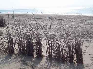 Maison de vacances /en/au De Haan (Flandre)ou appartement ou maison de vacances