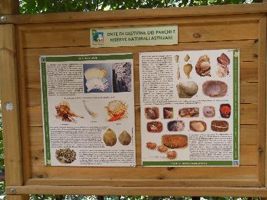 Chambre avec petit d�jeuner �/en/au Asti (Asti)ou appartement ou maison de vacances