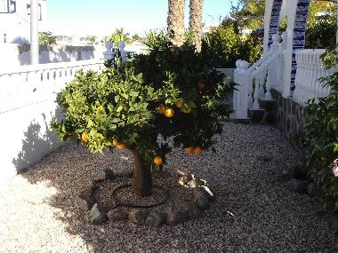 Maison de vacances �/en/au Mazarron (Murcia)ou appartement ou maison de vacances