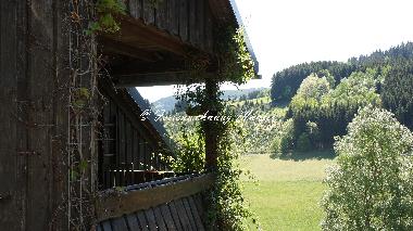 Appartement de vacances �/en/au Schmallenberg - Westfeld (Sauerland)ou appartement ou maison de vacances