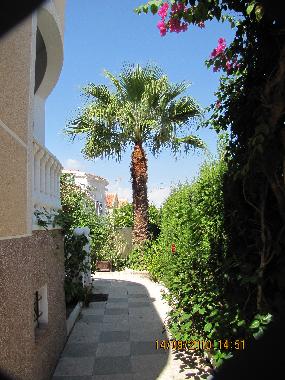 Maison de vacances /en/au urb. La Marina (Murcia)ou appartement ou maison de vacances