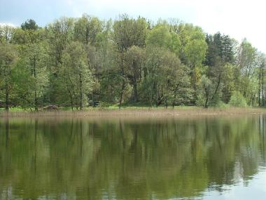 Chambre avec petit djeuner /en/au Tomaszkowo (Warminsko-Mazurskie)ou appartement ou maison de vacances