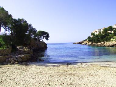 Maison de vacances /en/au Portals Nous (Mallorca)ou appartement ou maison de vacances