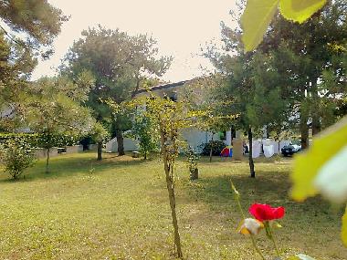 Appartement de vacances �/en/au Duna Verde (Venezia)ou appartement ou maison de vacances