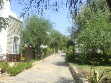 Villa /en/au Golkoy Bodrum (Mugla)ou appartement ou maison de vacances