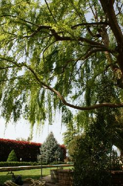 Maison de vacances /en/au Korinthos (Korinthia)ou appartement ou maison de vacances