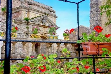 jardin sur le toit