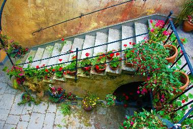Villa /en/au Erice (Trapani)ou appartement ou maison de vacances