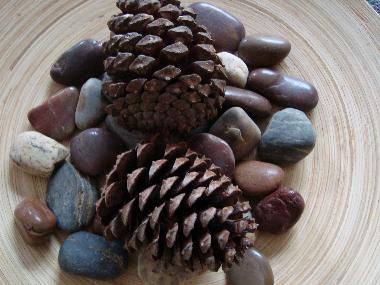 Appartement de vacances �/en/au Istanbul (Istanbul)ou appartement ou maison de vacances