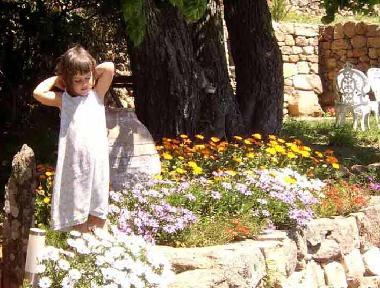 Appartement de vacances /en/au St.Pierre-St.Jean (Ardche)ou appartement ou maison de vacances