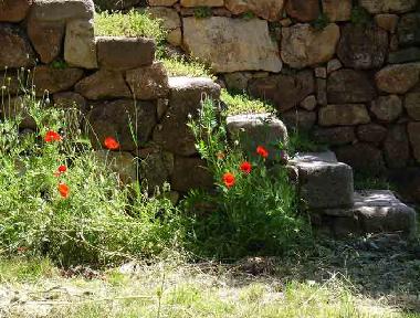 Appartement de vacances /en/au St.Pierre-St.Jean (Ardche)ou appartement ou maison de vacances