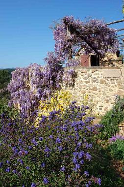 Appartement de vacances /en/au St.Pierre-St.Jean (Ardche)ou appartement ou maison de vacances
