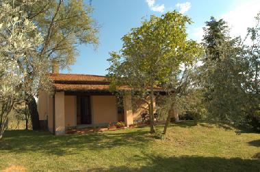 Maison de vacances �/en/au Castiglion F.no (Arezzo)ou appartement ou maison de vacances