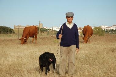 Campagne