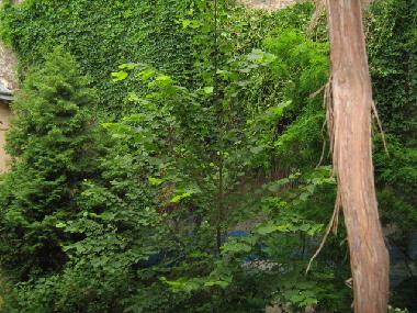 Appartement de vacances �/en/au Lviv (L