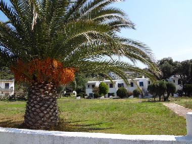 Maison de vacances /en/au Toroni (Chalkidiki)ou appartement ou maison de vacances