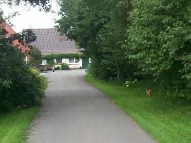 Maison de vacances /en/au Groenwiehe (Binnenland)ou appartement ou maison de vacances