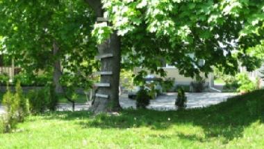 Maison de vacances �/en/au L�vis (Quebec)ou appartement ou maison de vacances