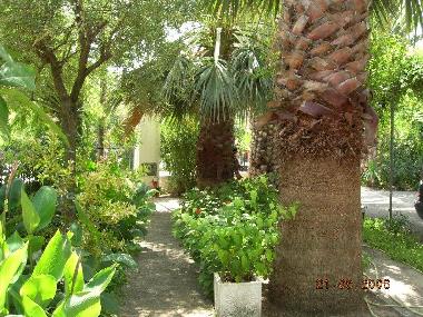 Villa �/en/au AgiosGeorgios-Lichas (Evvoia)ou appartement ou maison de vacances