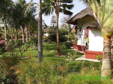EXCEPTIONNEL JARDIN TROPICAL