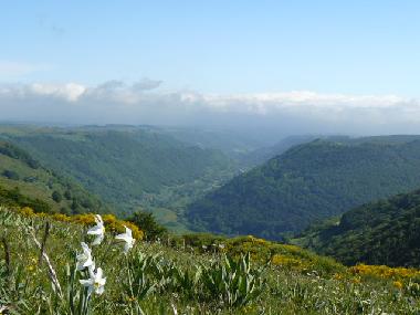 Maison de vacances /en/au YTRAC (Cantal)ou appartement ou maison de vacances