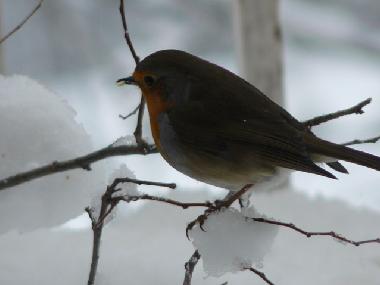 Maison de vacances /en/au YTRAC (Cantal)ou appartement ou maison de vacances