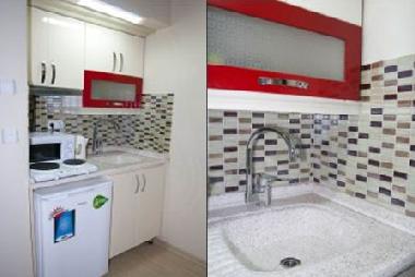 Appartement de vacances �/en/au Istanbul (Istanbul)ou appartement ou maison de vacances