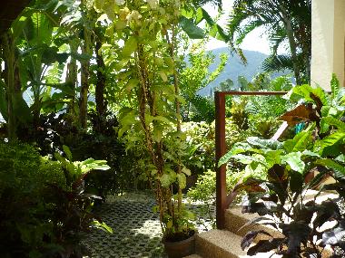 Villa �/en/au patong (Phuket)ou appartement ou maison de vacances