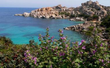 Appartement de vacances /en/au santa teresa gallura (Olbia-Tempio)ou appartement ou maison de vacances