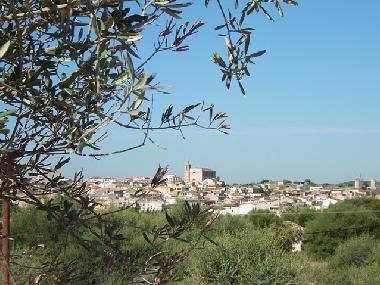 Maison de vacances �/en/au Santa Margalida (Mallorca)ou appartement ou maison de vacances