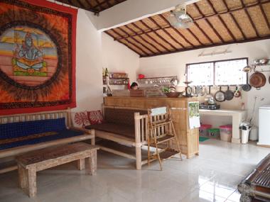 Salon - living room . 2 couchanges